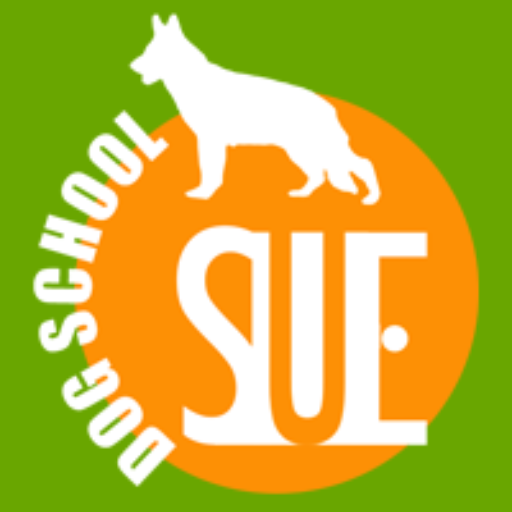 Dog School Sue